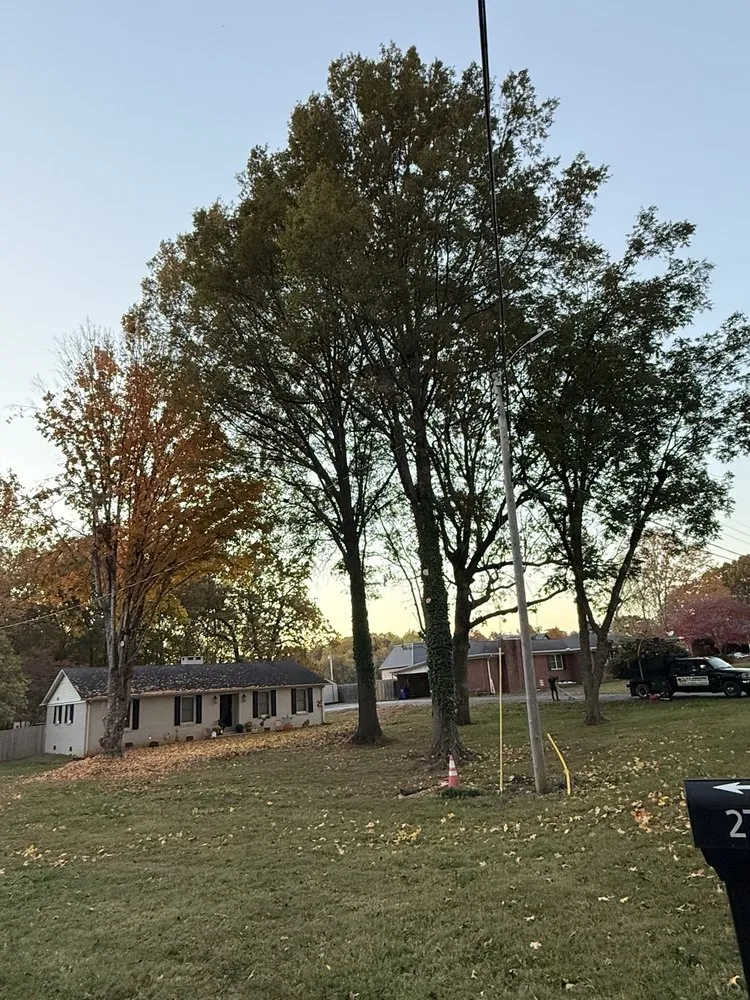 Affordable landscaping services for year-round maintenance in McKenzie, TN by N & S Landscaping Service