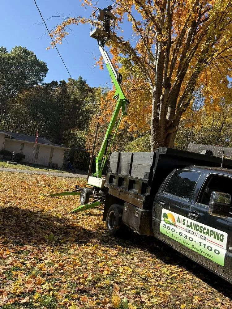 Professional landscaping services experts serving McKenzie, TN - N & S Landscaping Service