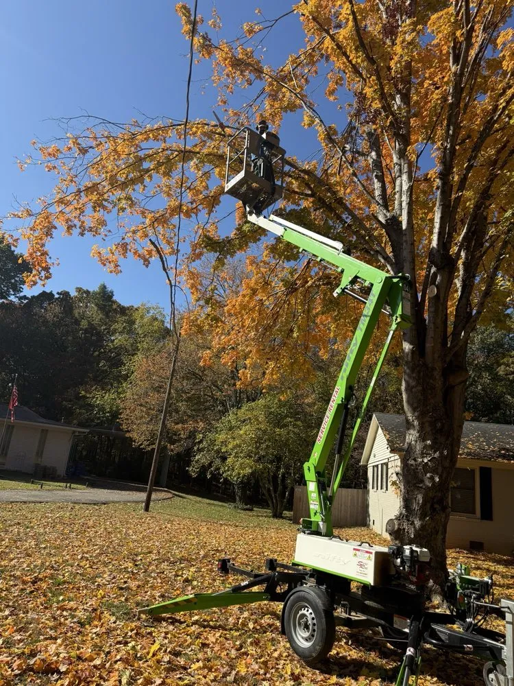 Professional landscaping services for homes across McKenzie, TN - N & S Landscaping Service