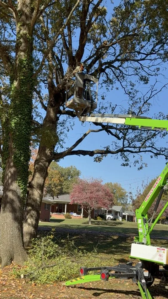 Trusted lawn mowing service for residential properties in McKenzie, TN by N & S Landscaping Service