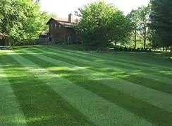 Professional yard cleanup service experts serving South Windsor, CT - N A I llc Lawn Care