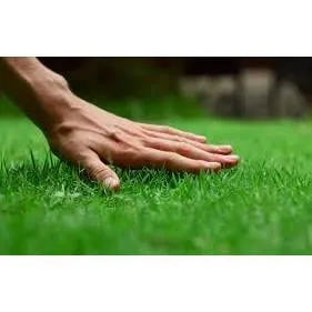 N A I llc Lawn Care Logo