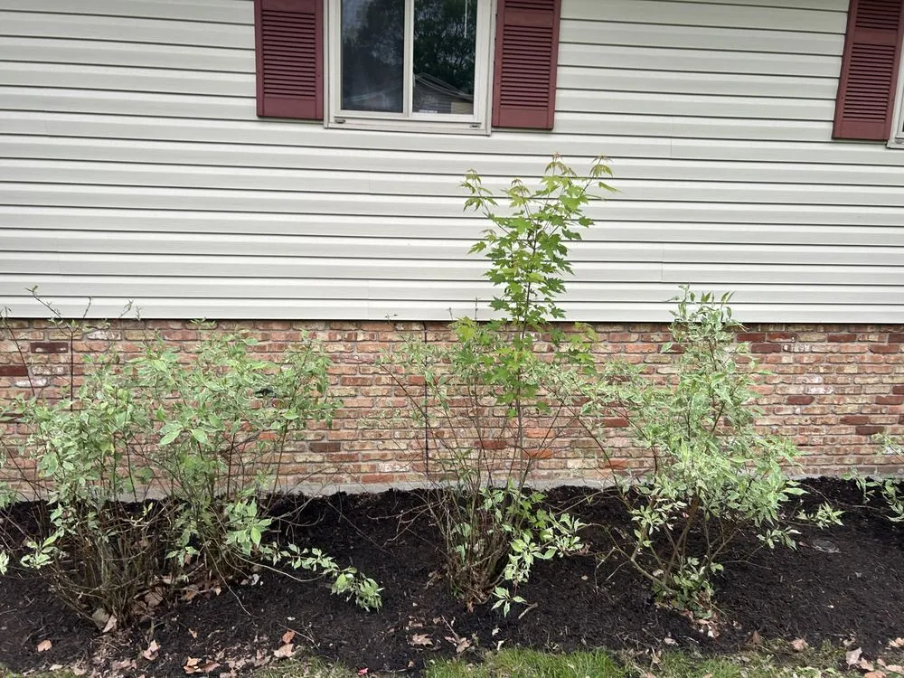 Trusted lawn mowing service in Centerville, OH by N and E Lawn Care