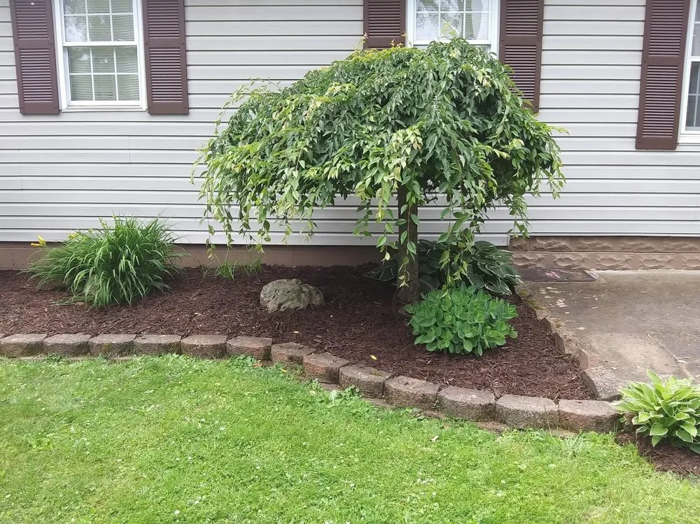 Top-rated yard maintenance in Newcomerstown, OH by N and J Lawn Care