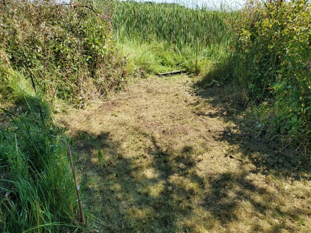 Affordable landscaping services experts serving Horicon, WI - N and M Landscaping