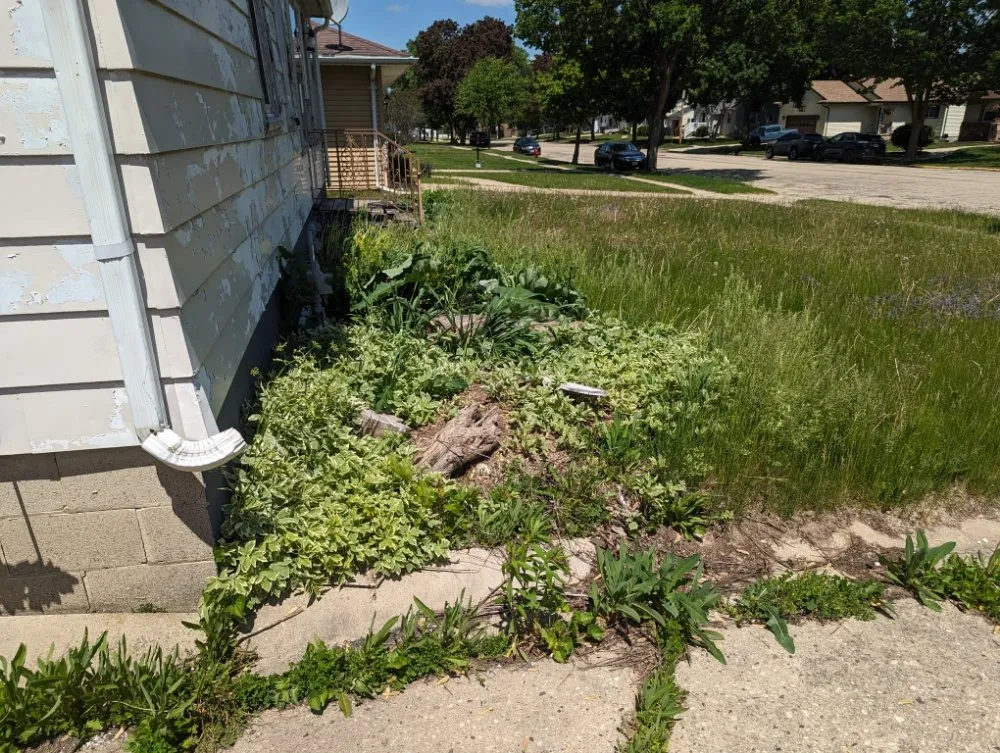 Affordable lawn care service in Horicon, WI by N and M Landscaping