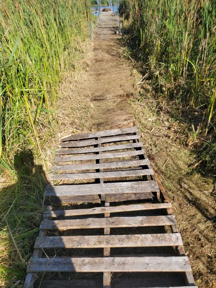 Affordable landscape design for homes across Horicon, WI - N and M Landscaping