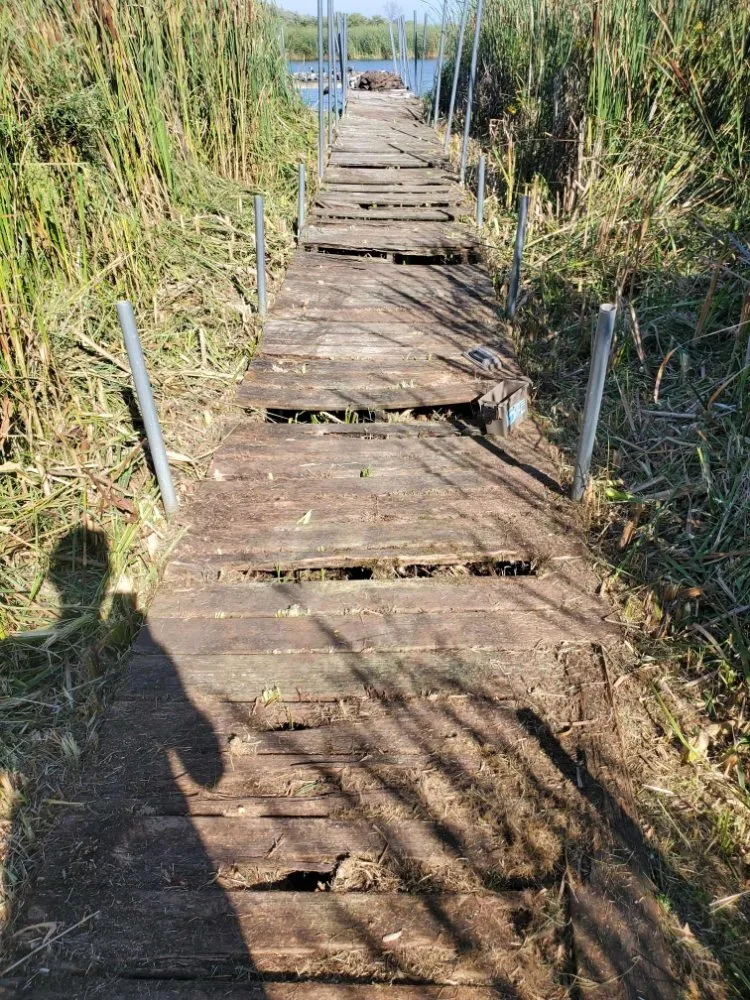 Professional landscape installation for outdoor upgrades in Horicon, WI by N and M Landscaping