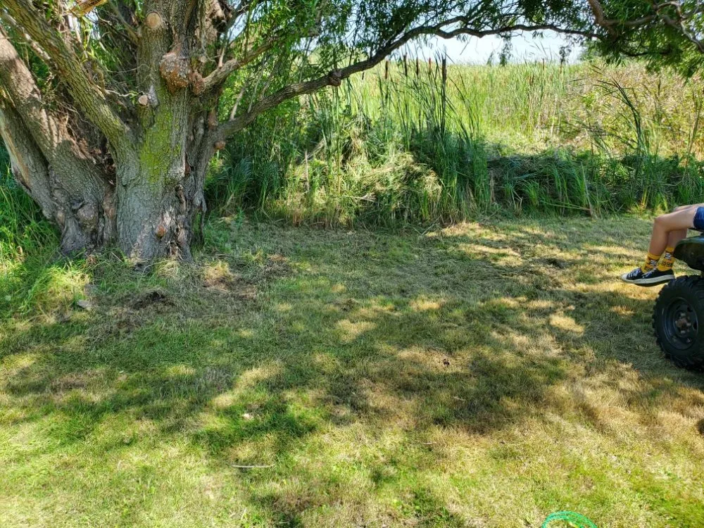 Trusted lawn care service in Horicon, WI by N and M Landscaping