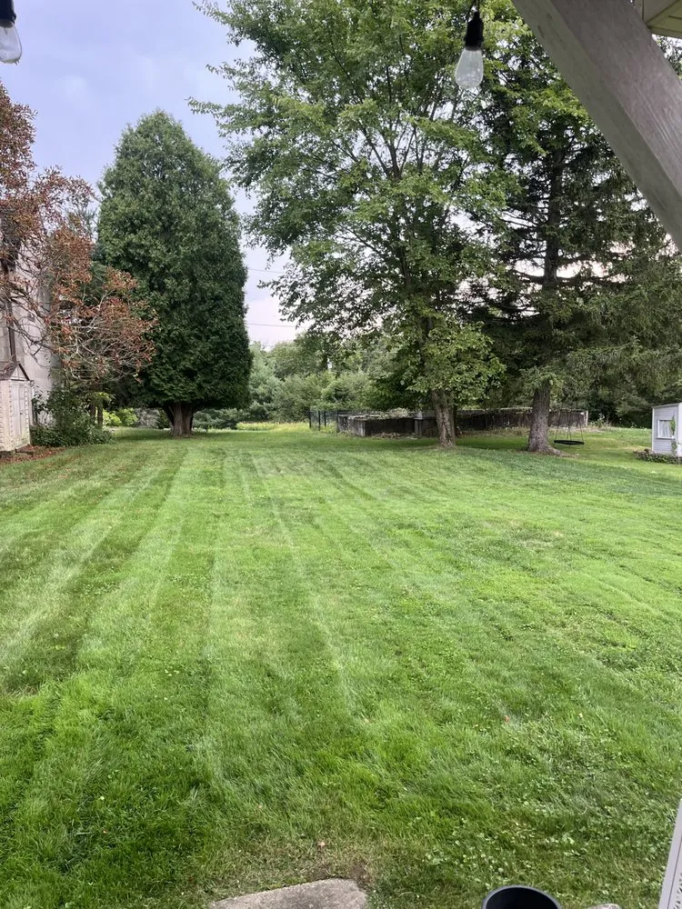 Local yard cleanup service for beautiful yards in Natrona Heights, PA by N. Biagi Landscaping