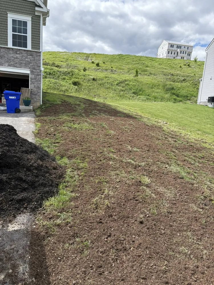 Trusted lawn care service for beautiful yards across Natrona Heights, PA - N. Biagi Landscaping