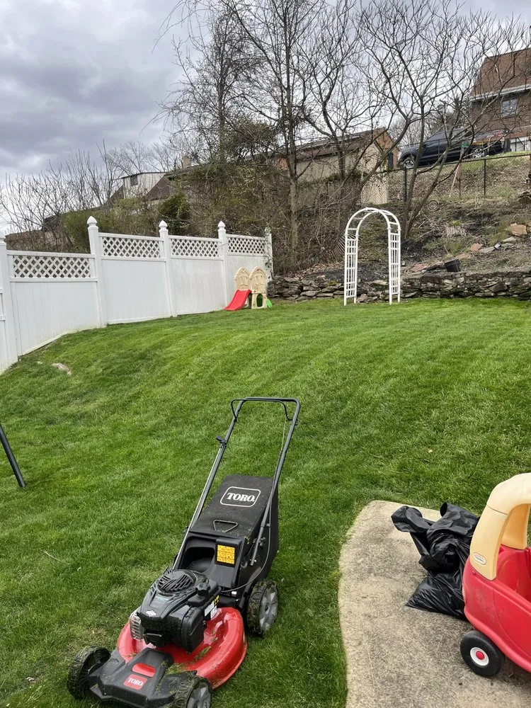 Reliable lawn care service for outdoor upgrades in Natrona Heights, PA by N. Biagi Landscaping