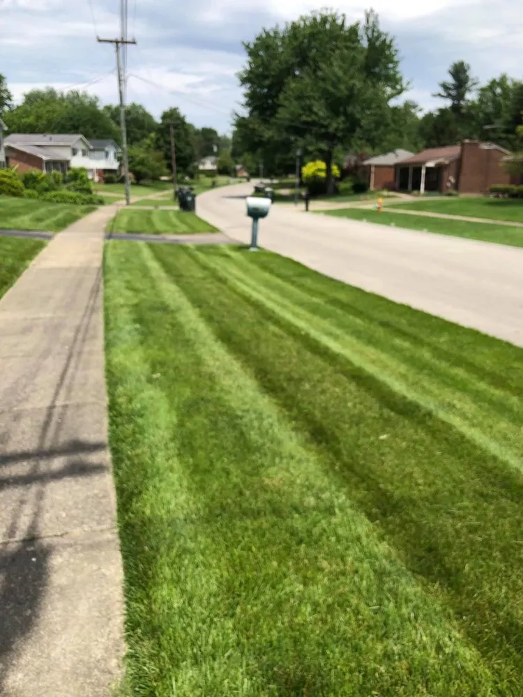 Top-rated residential landscaping experts serving Taylorsville, KY - N. C. Lyons Services