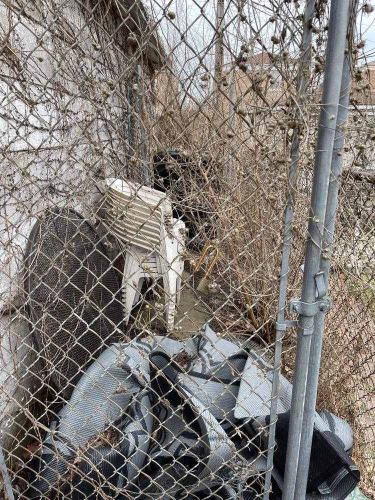 Local lawn care service in Chicago, IL by N E Job