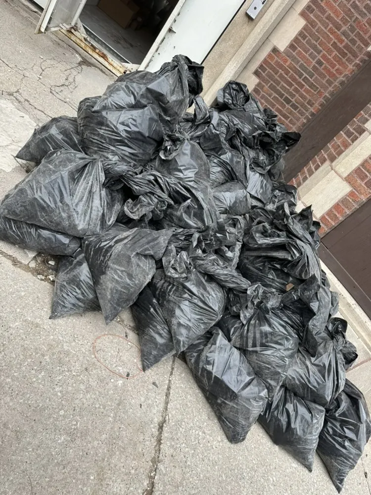 Custom yard cleanup service for residential properties across Chicago, IL - N E Job