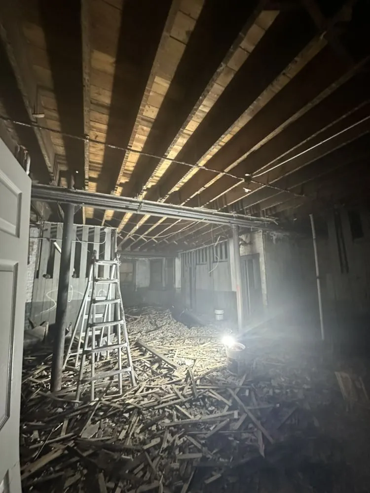 Affordable yard maintenance experts serving Chicago, IL - N E Job