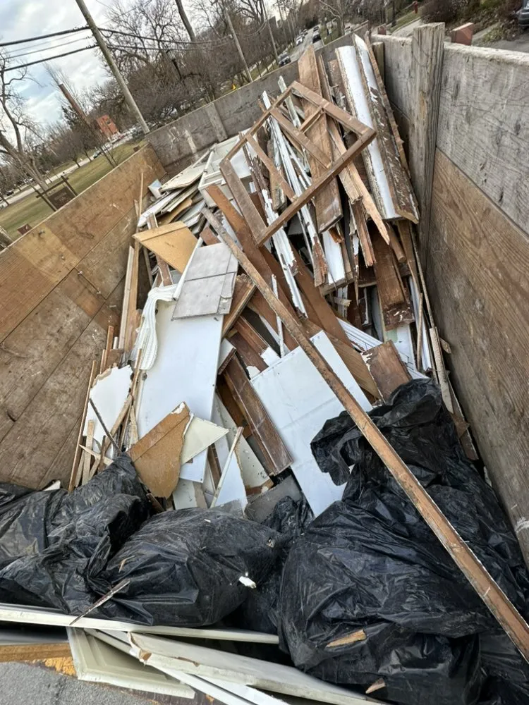 Affordable yard cleanup service in Chicago, IL - N E Job