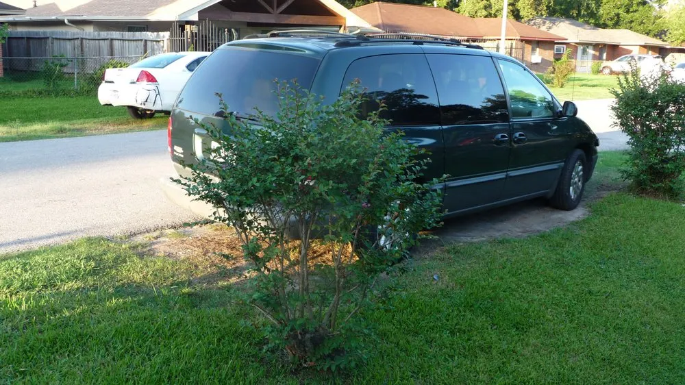 Affordable outdoor landscaping for residential properties across Houston, TX - N-ER Flash Lawn Care