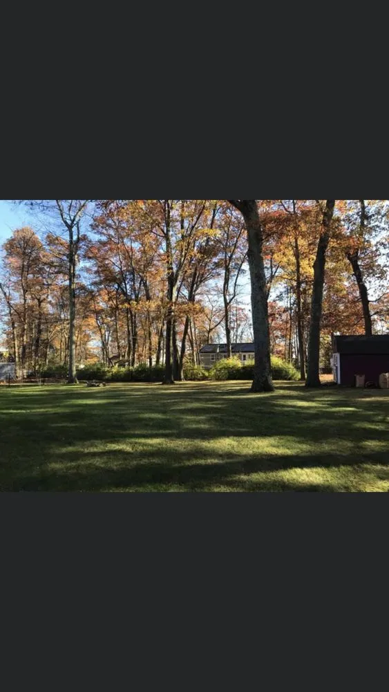 Custom yard maintenance for outdoor upgrades across Stoughton, MA - N Friends Landscape