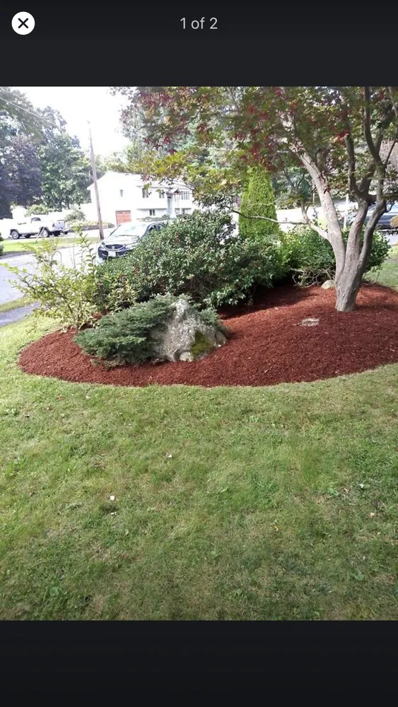 Reliable yard maintenance near you in Stoughton, MA by N Friends Landscape