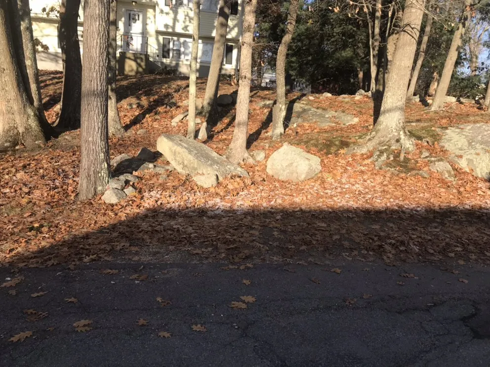 Reliable lawn care service experts serving Stoughton, MA - N Friends Landscape