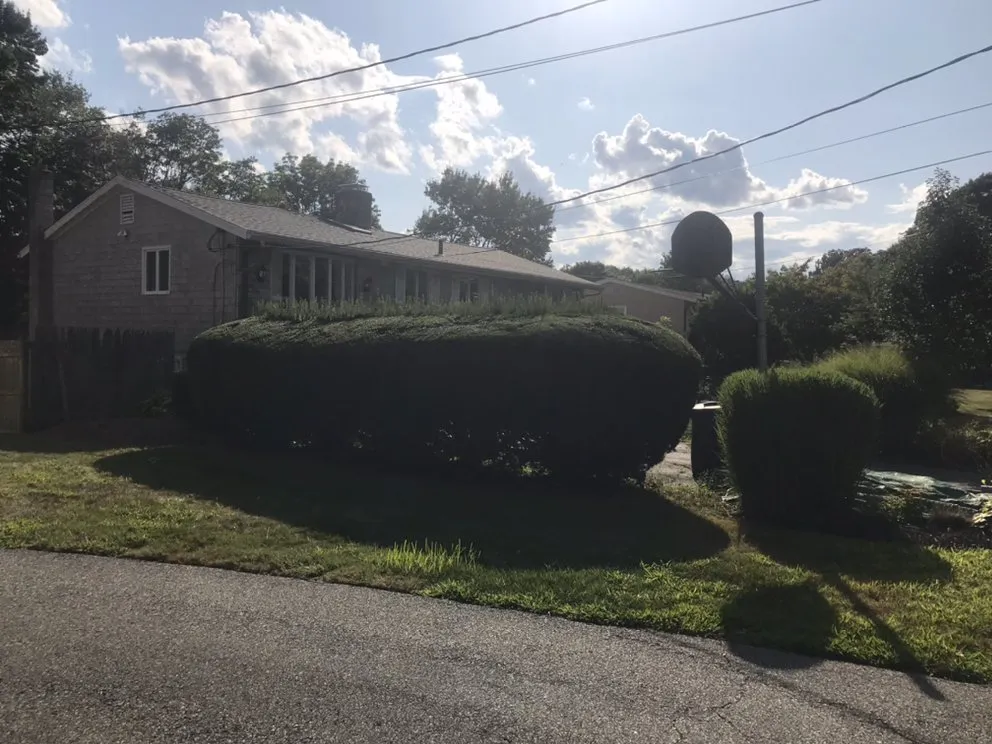 Affordable yard maintenance in Stoughton, MA by N Friends Landscape