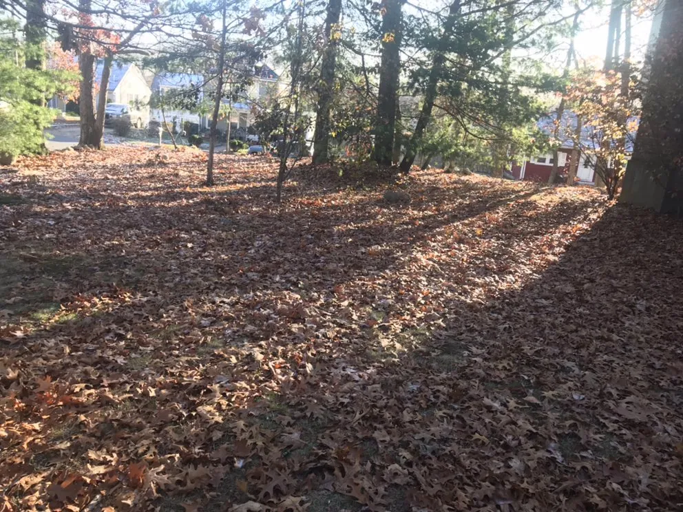 Affordable landscape design in Stoughton, MA - N Friends Landscape