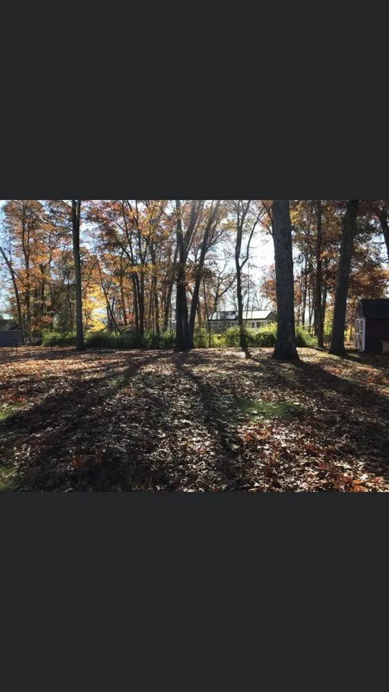 Local garden landscaping in Stoughton, MA by N Friends Landscape