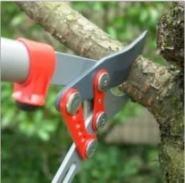 Top-rated landscape design with custom design in Dover, FL by N-G-N Construction