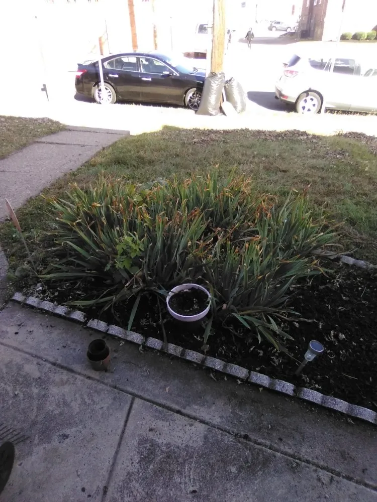 Trusted garden landscaping experts serving Jenkintown, PA - N Landscaping