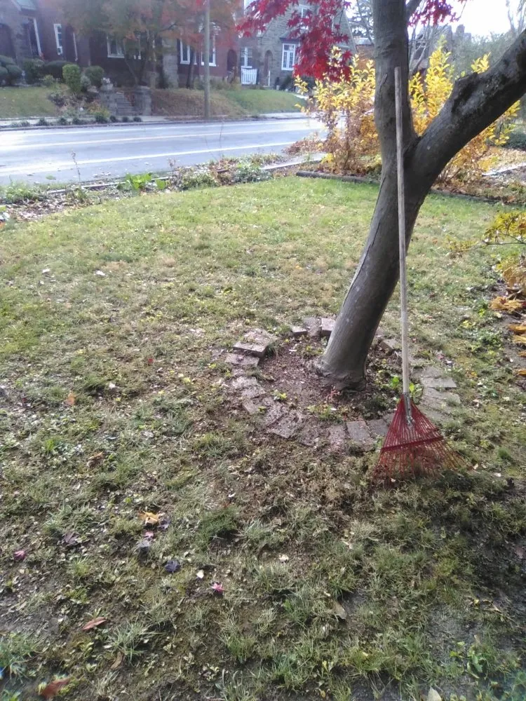 Local landscaping services for year-round maintenance across Jenkintown, PA - N Landscaping