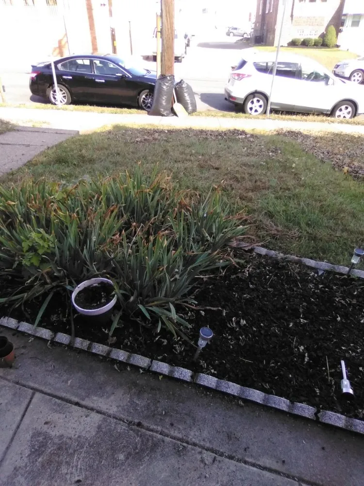 Professional yard cleanup service experts serving Jenkintown, PA - N Landscaping