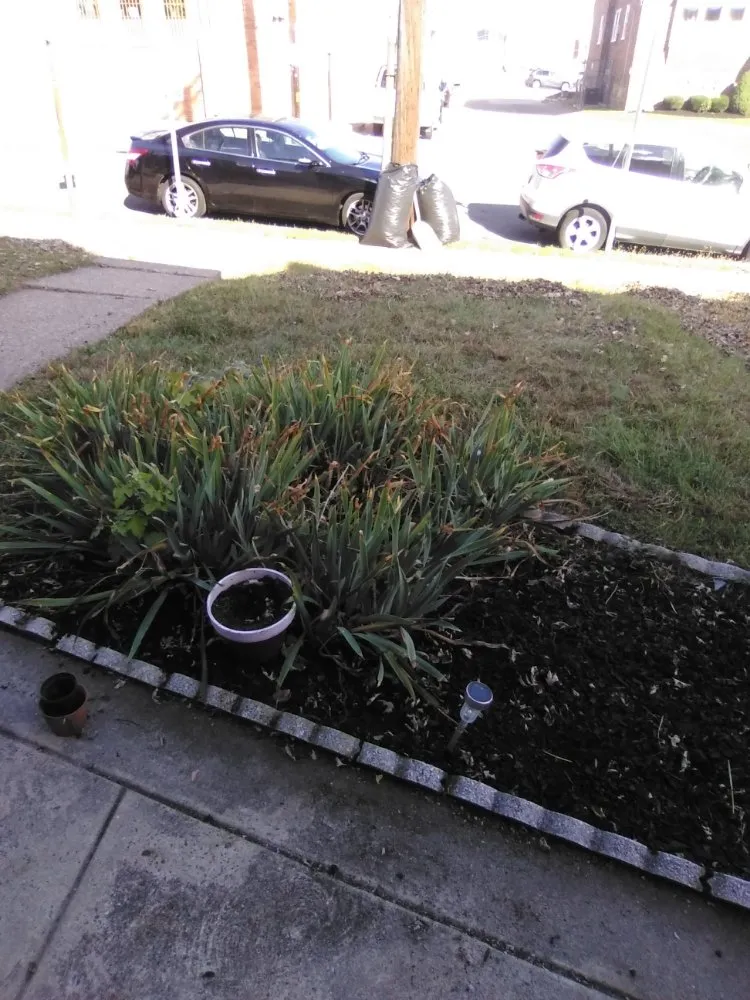 Custom landscape installation for residential properties in Jenkintown, PA by N Landscaping