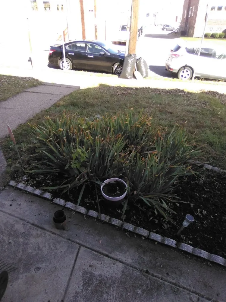 Top-rated garden landscaping in Jenkintown, PA - N Landscaping