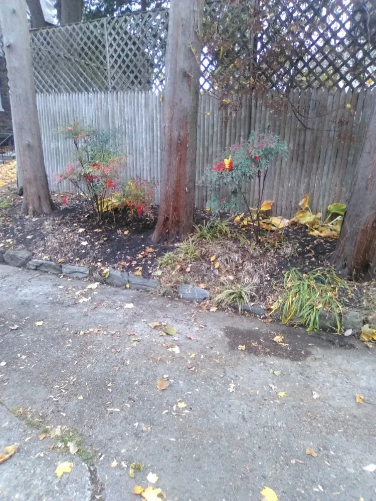 Reliable yard cleanup service in Jenkintown, PA by N Landscaping