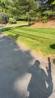 N Pereira Enterprises