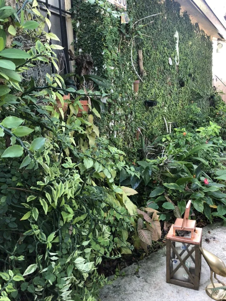 Top-rated outdoor landscaping in Miami, FL - N Rubio