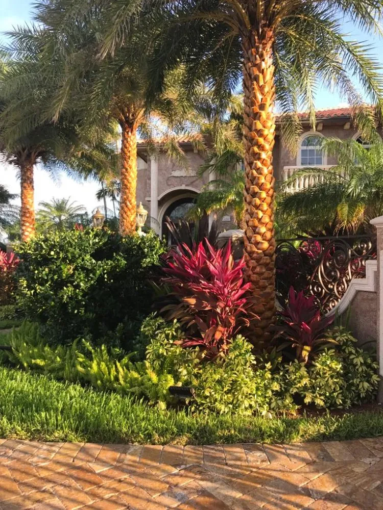 Expert yard cleanup service in Miami, FL - N Rubio