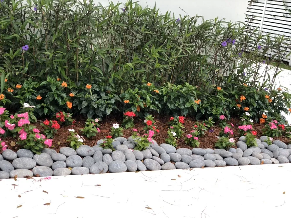 Expert yard cleanup service in Miami, FL - N Rubio