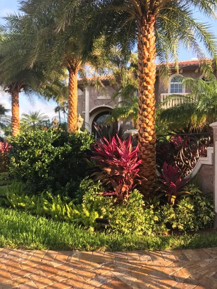 Local landscape design in Miami, FL - N Rubio