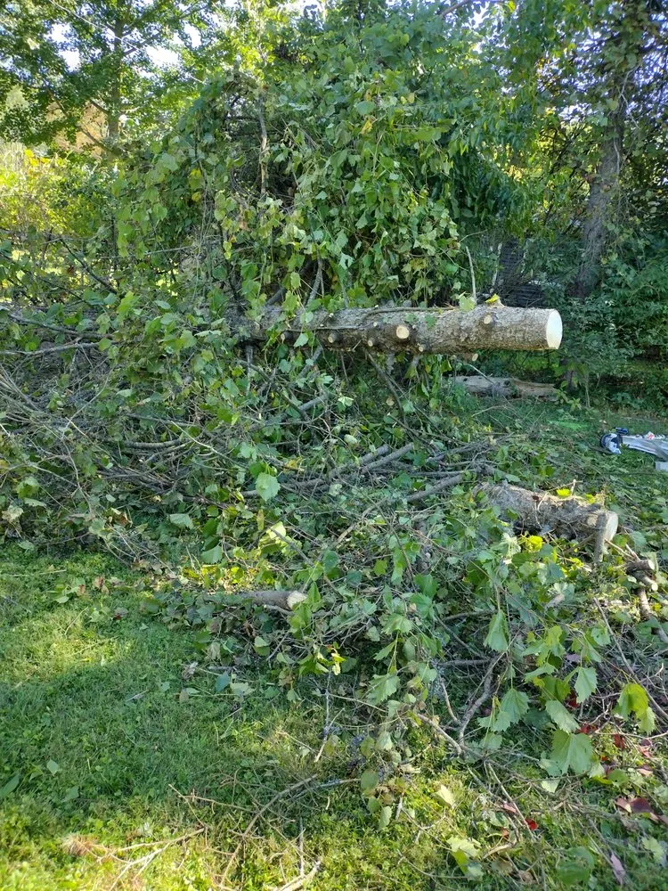 Professional landscaping services in Bremen, IN by N S B Lawncare