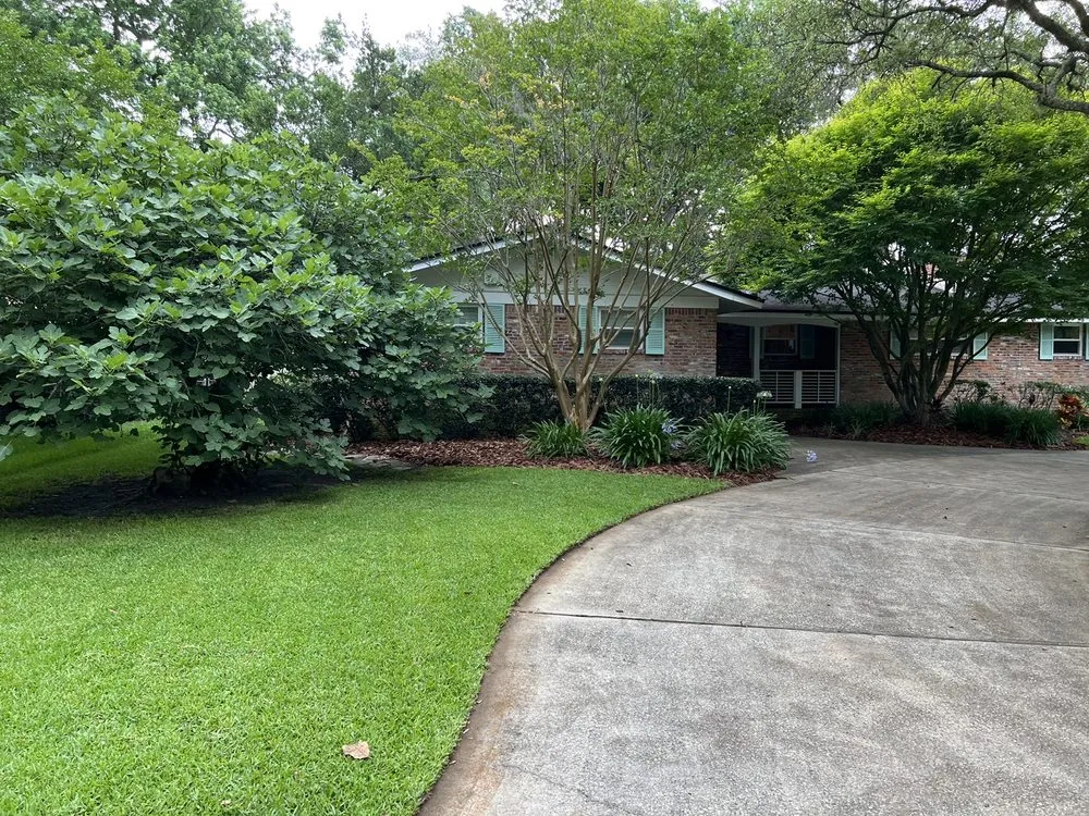 Top-rated yard cleanup service for outdoor upgrades in Jacksonville, FL by N-Season Lawn Maintenance & Landscaping