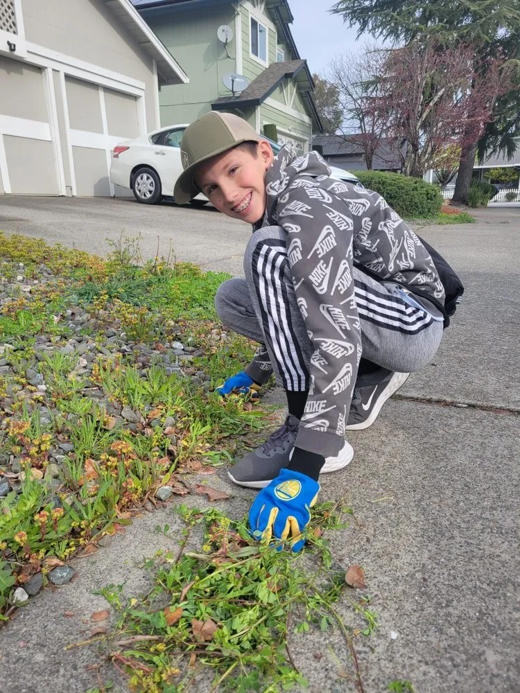 Professional yard maintenance in Windsor, CA - N-T Services