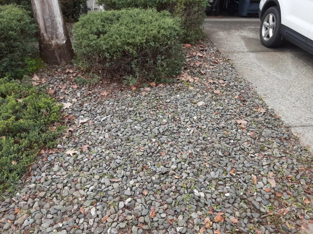 Local residential landscaping in Windsor, CA - N-T Services