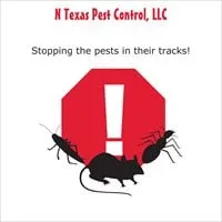 Professional landscape installation for residential properties in Little Elm, TX by N Texas Pest Control