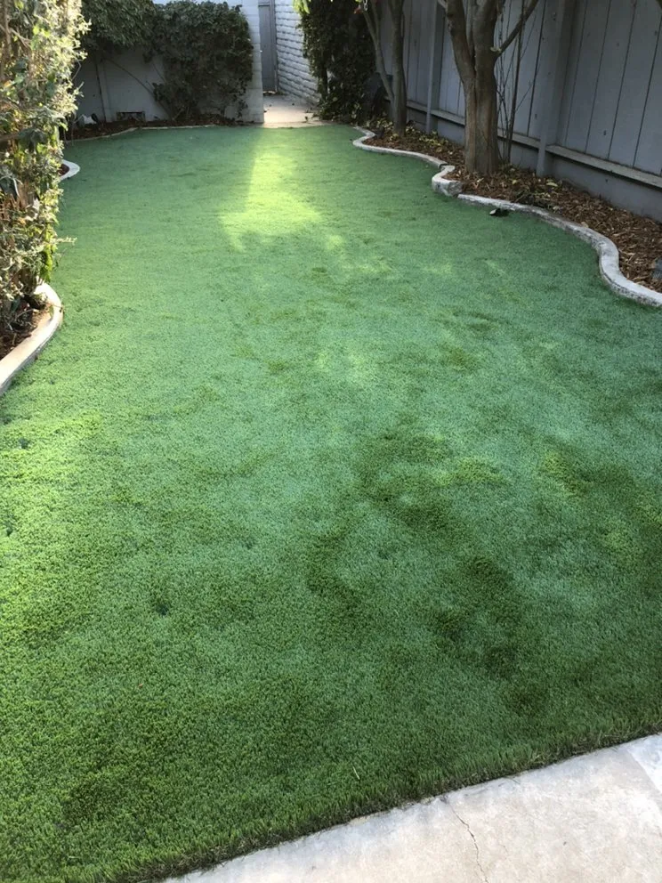 Reliable yard cleanup service near you across Salinas, CA - N Union Landscaping