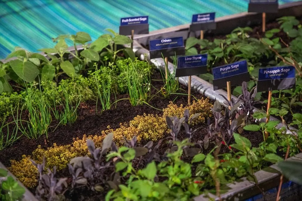 Trusted landscape design experts serving Woodinville, WA - N. W. Bloom