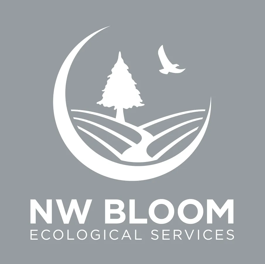 Expert landscape installation experts serving Woodinville, WA - N. W. Bloom