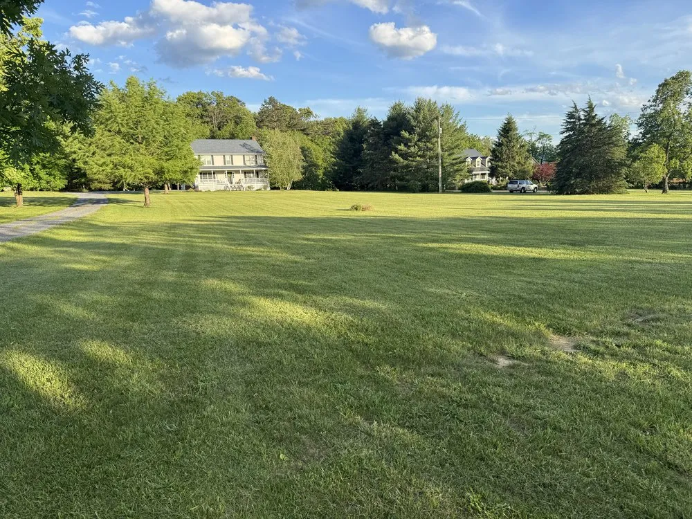Local landscape design for beautiful yards in Harrisonburg, VA by N-Z Mowing