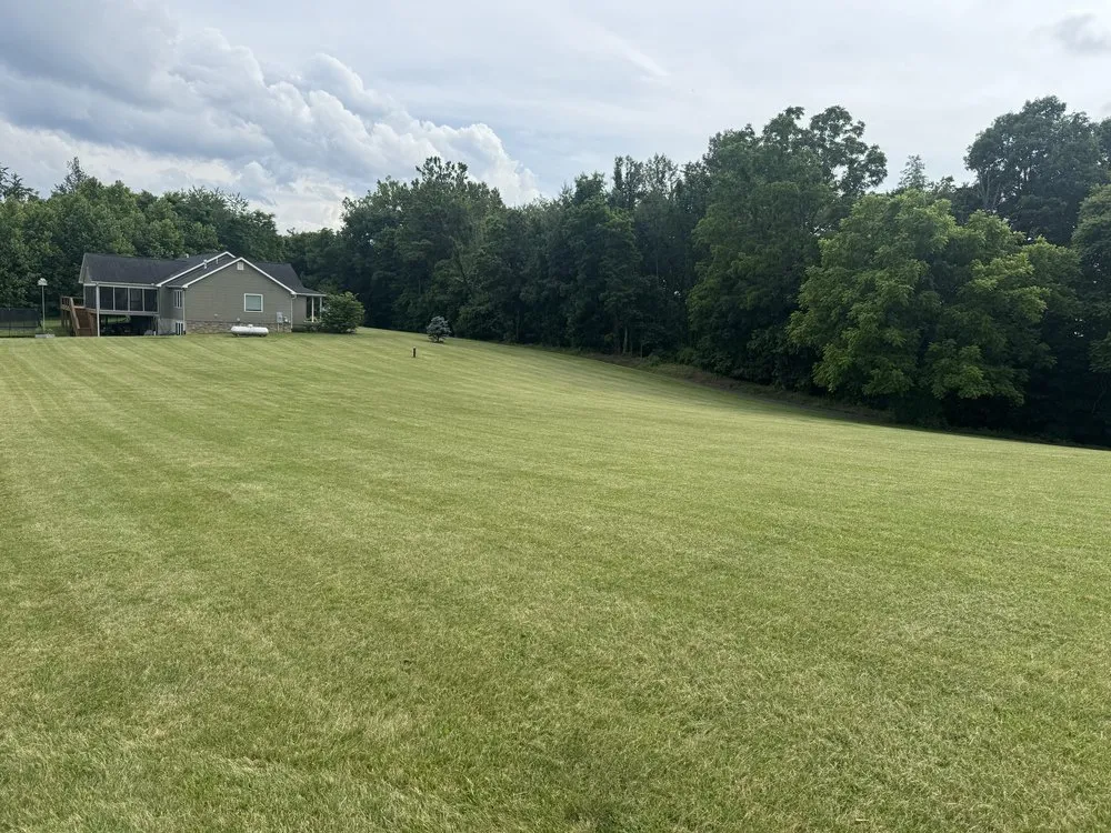 Top-rated landscaping services experts serving Harrisonburg, VA - N-Z Mowing